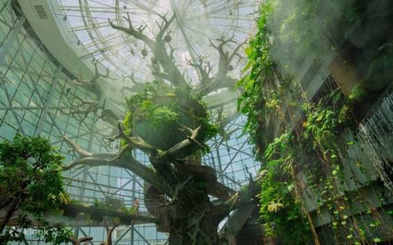 Indoor rainforest experience